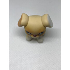 Littlest Pet Shop LPS #451 Tan White Yellow Boxer Dog Purple Eyes AUTHENTIC 2007